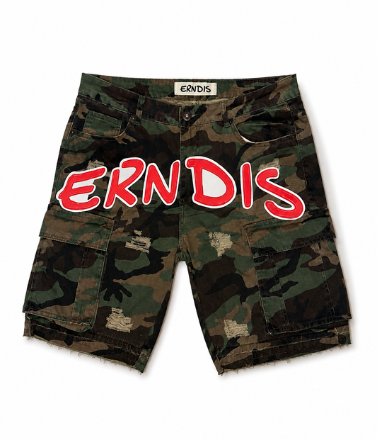 ERNDIS ARMY CARGO