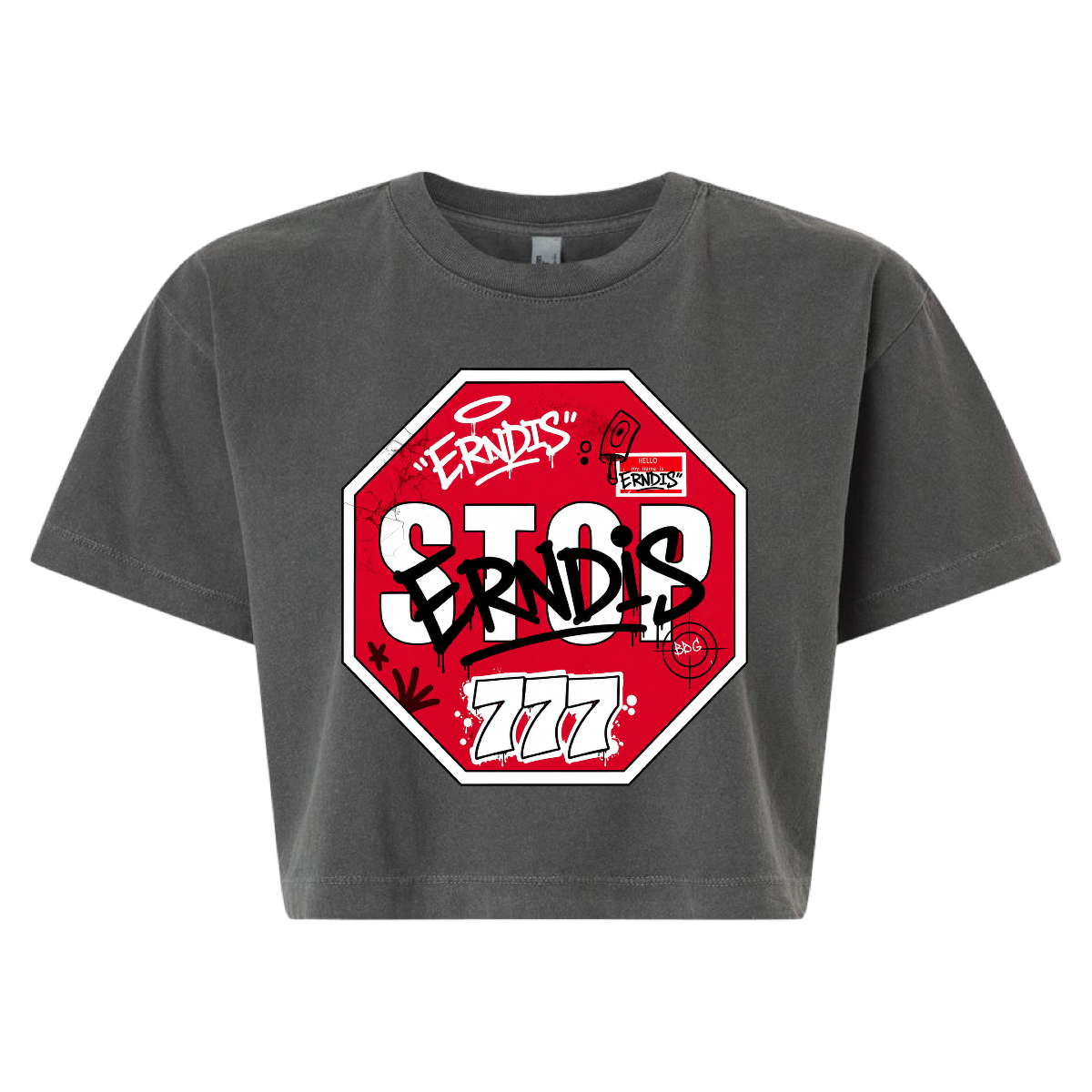 ERNDIS "STOPSIGN" CROP