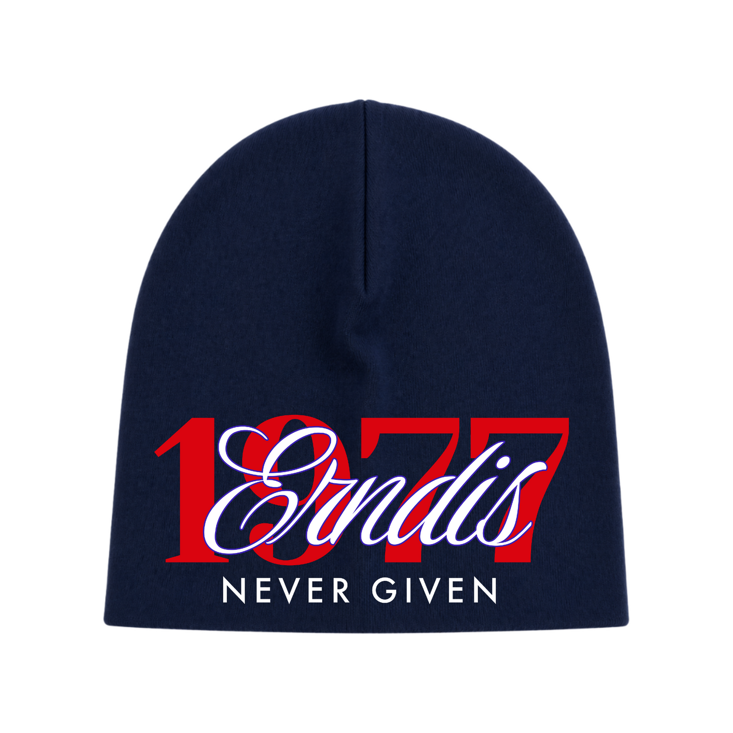 ERNDiS 1977 ~ Skull Cap